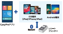 onepaysolution3